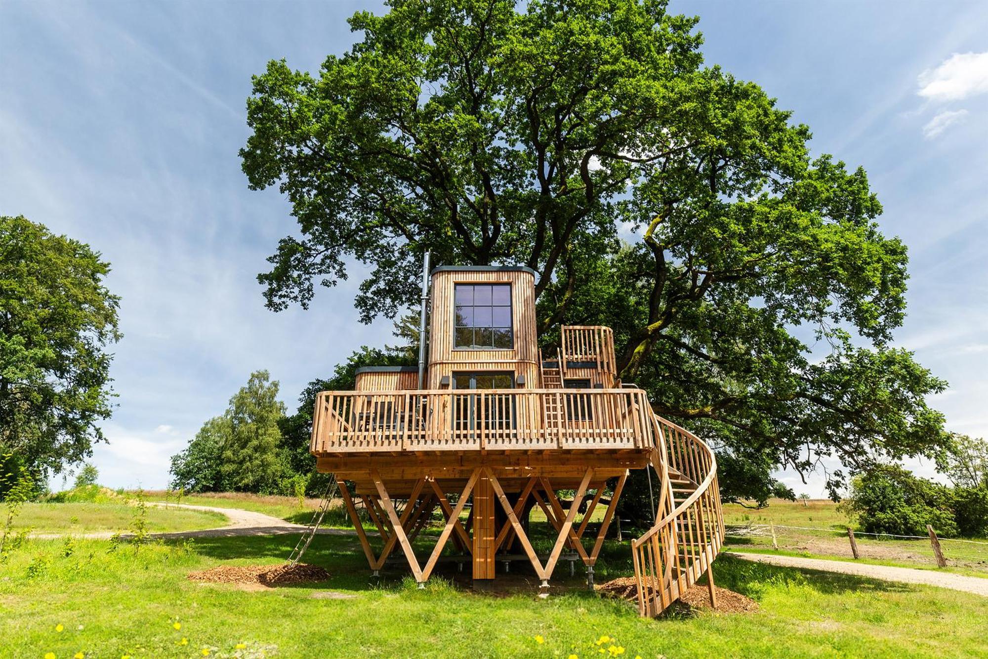 Ferienwohnungen Hof Bockelmann Bispingen Zimmer foto