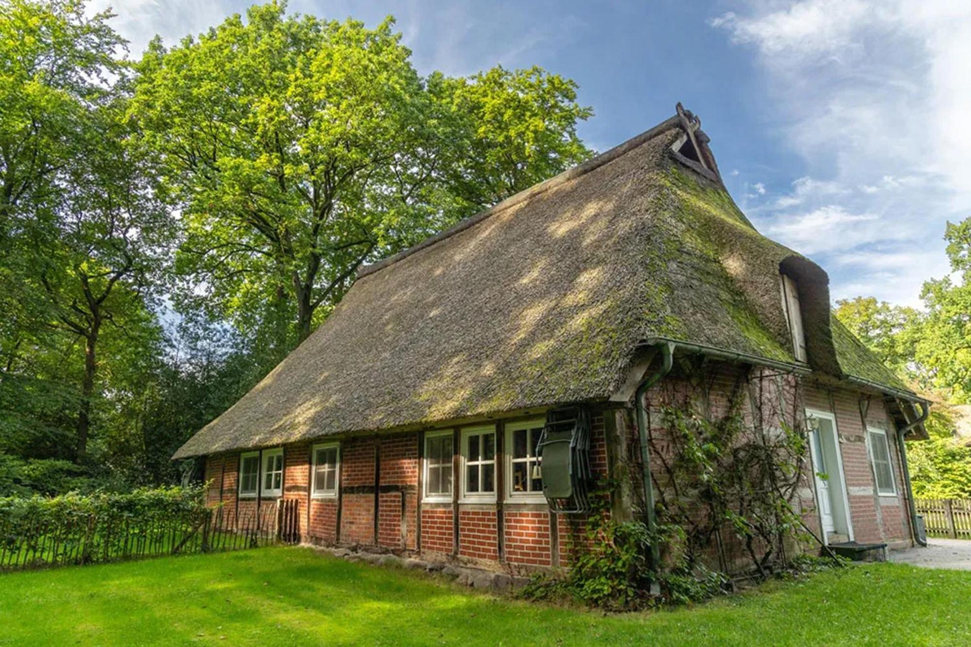 Ferienwohnungen Hof Bockelmann Bispingen Zimmer foto