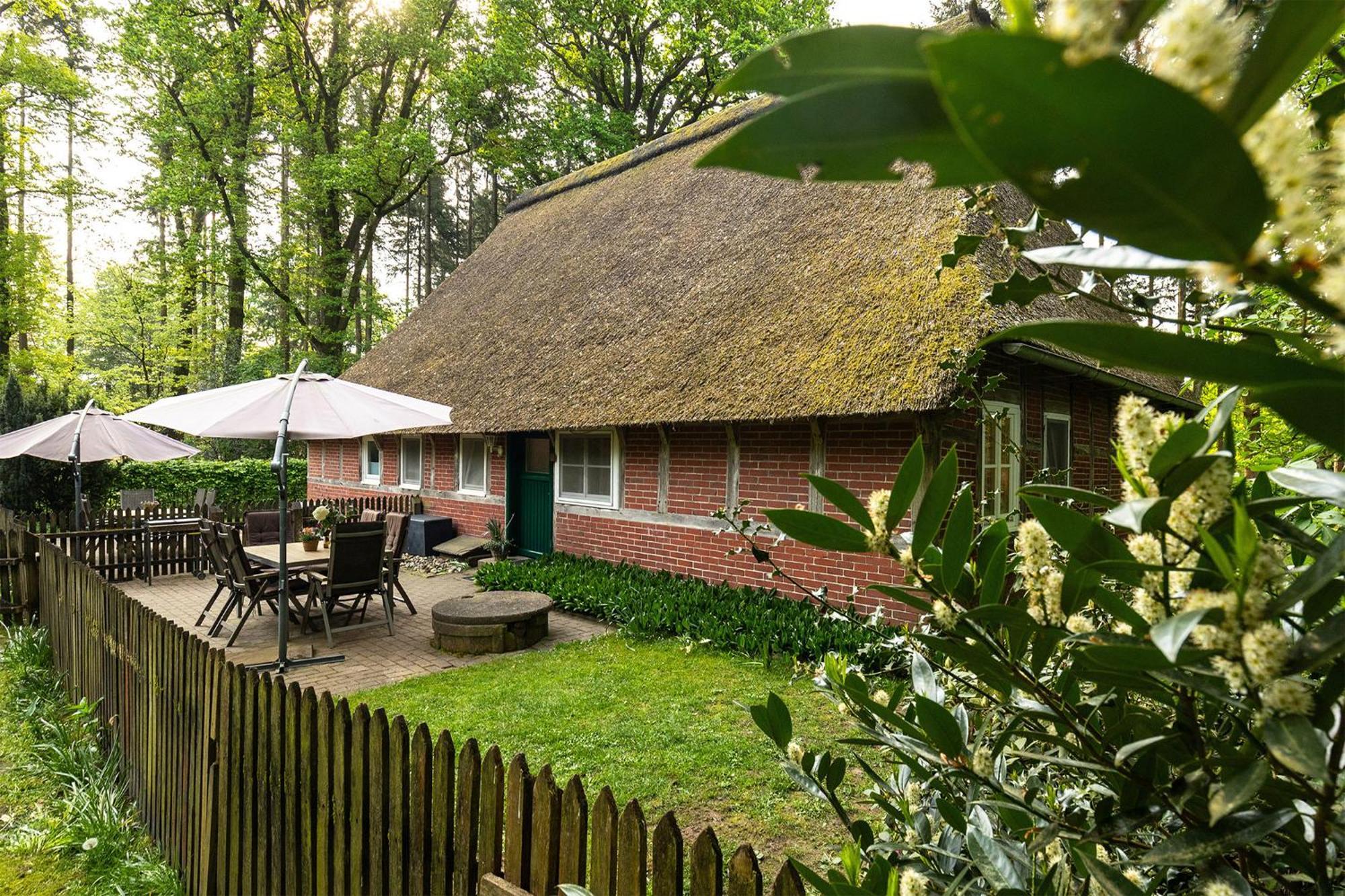 Ferienwohnungen Hof Bockelmann Bispingen Zimmer foto