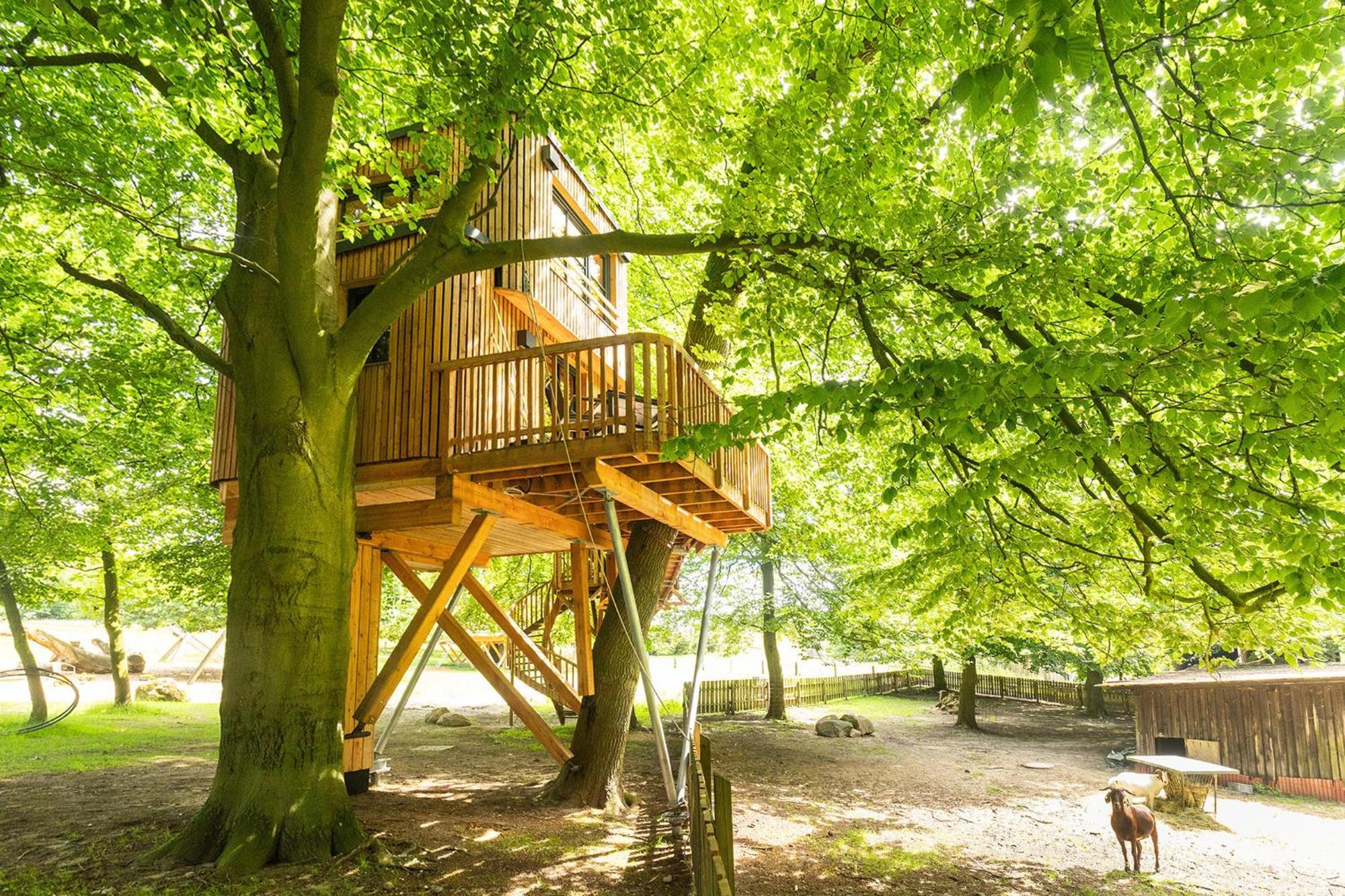 Ferienwohnungen Hof Bockelmann Bispingen Exterior foto