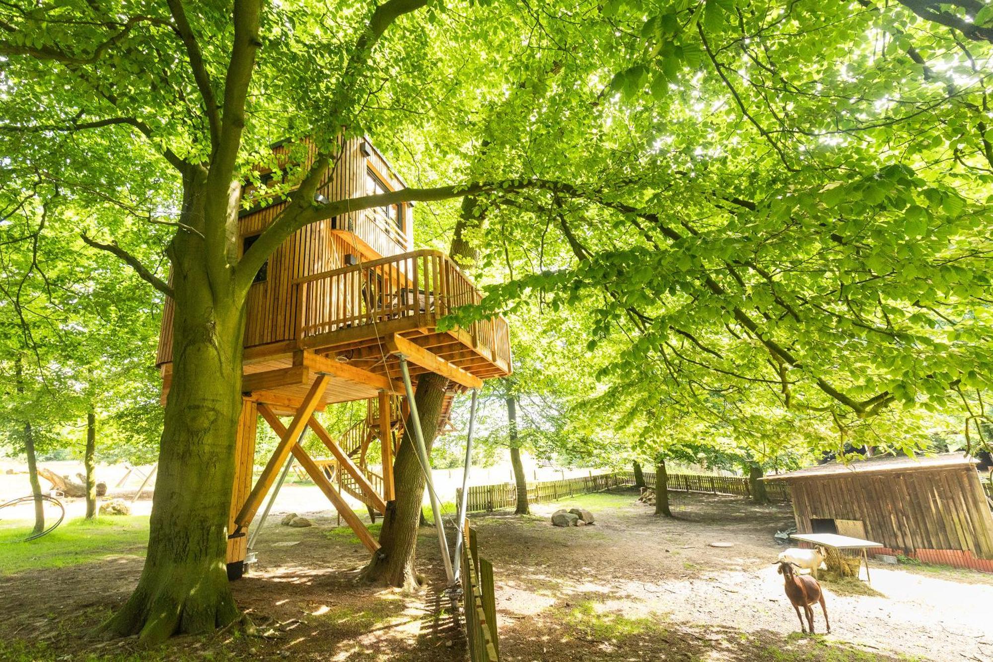 Ferienwohnungen Hof Bockelmann Bispingen Zimmer foto