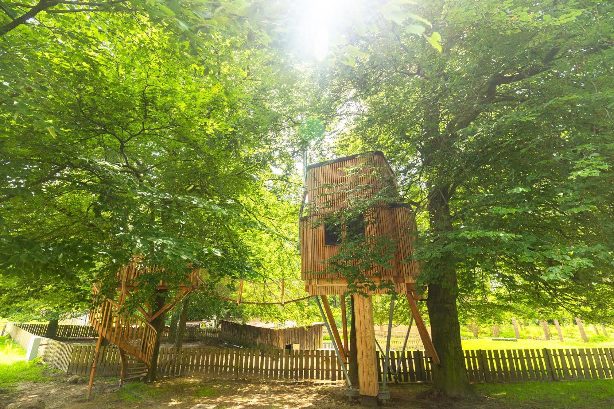 Ferienwohnungen Hof Bockelmann Bispingen Zimmer foto